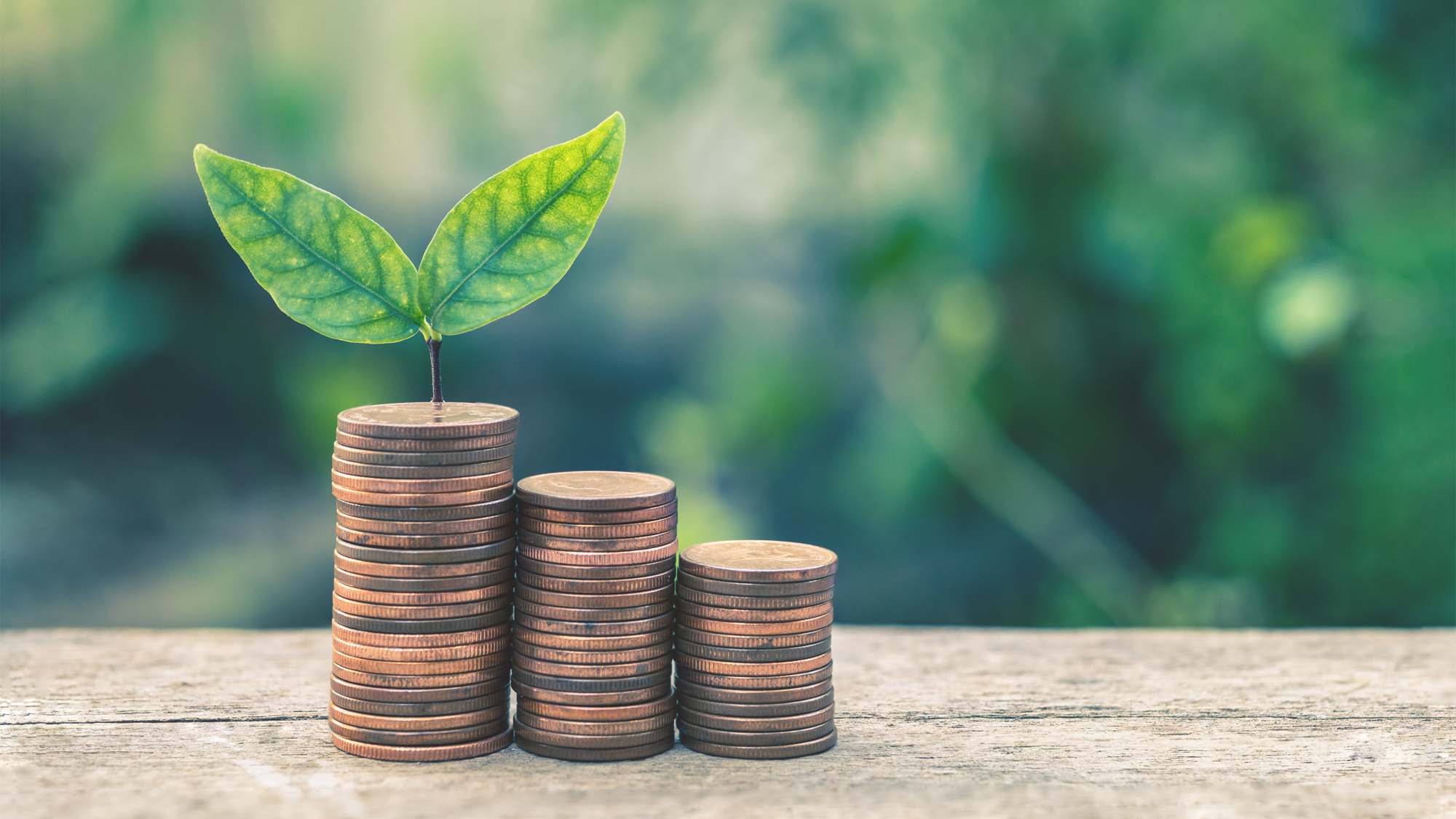 From Billions to Trillions: How Climate Finance is Reshaping Global Investment